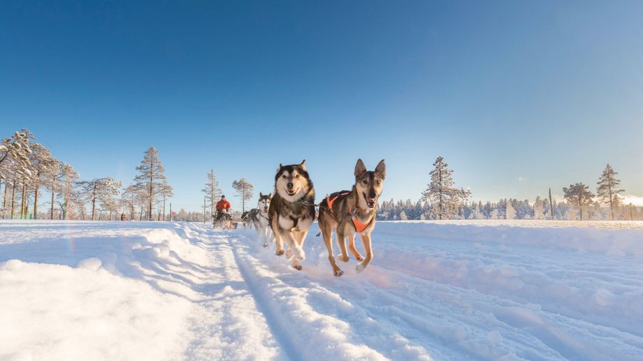 Wintersporten in Noorwegen of Zweden is een hele andere ervaring.