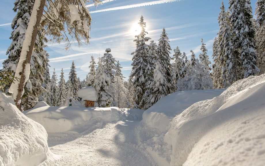 Bij veel skigebieden kun je winterwandelen. Foto: Region Seefeld, Johannes Geyer