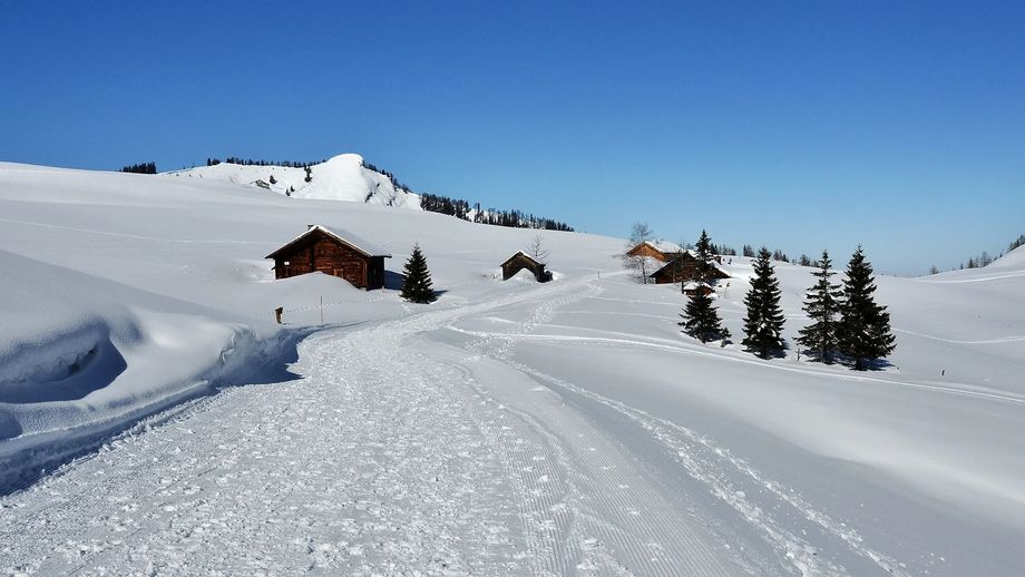 Postalm bij Abtenau. Foto: postalm.ski