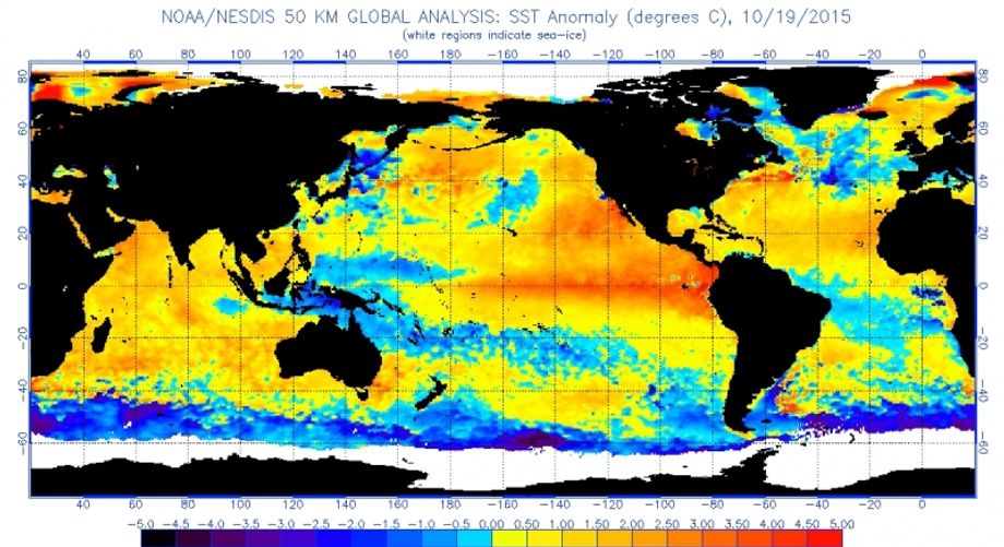 Temperatuurafwijking zeewater (bron: NOAA)