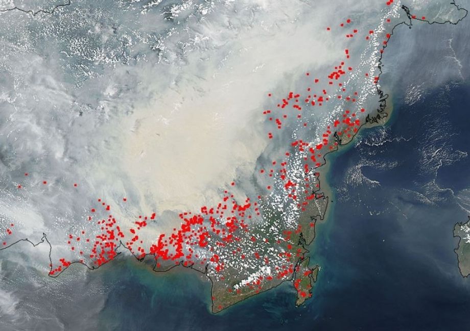 Bosbranden en rook op Borneo, Indonesië (NASA)