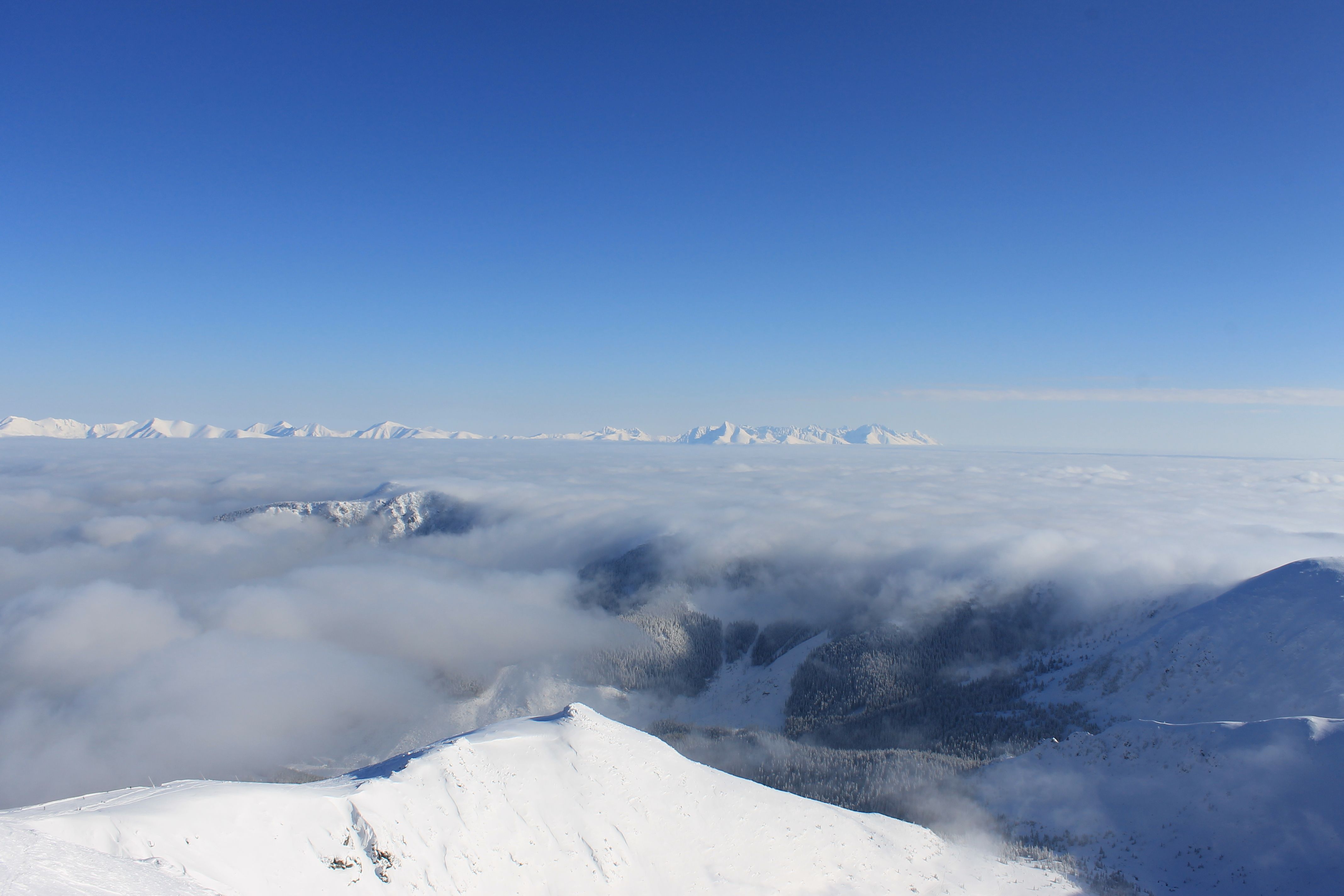 Uitzicht op de Hoge Tatra vanaf de Chopok