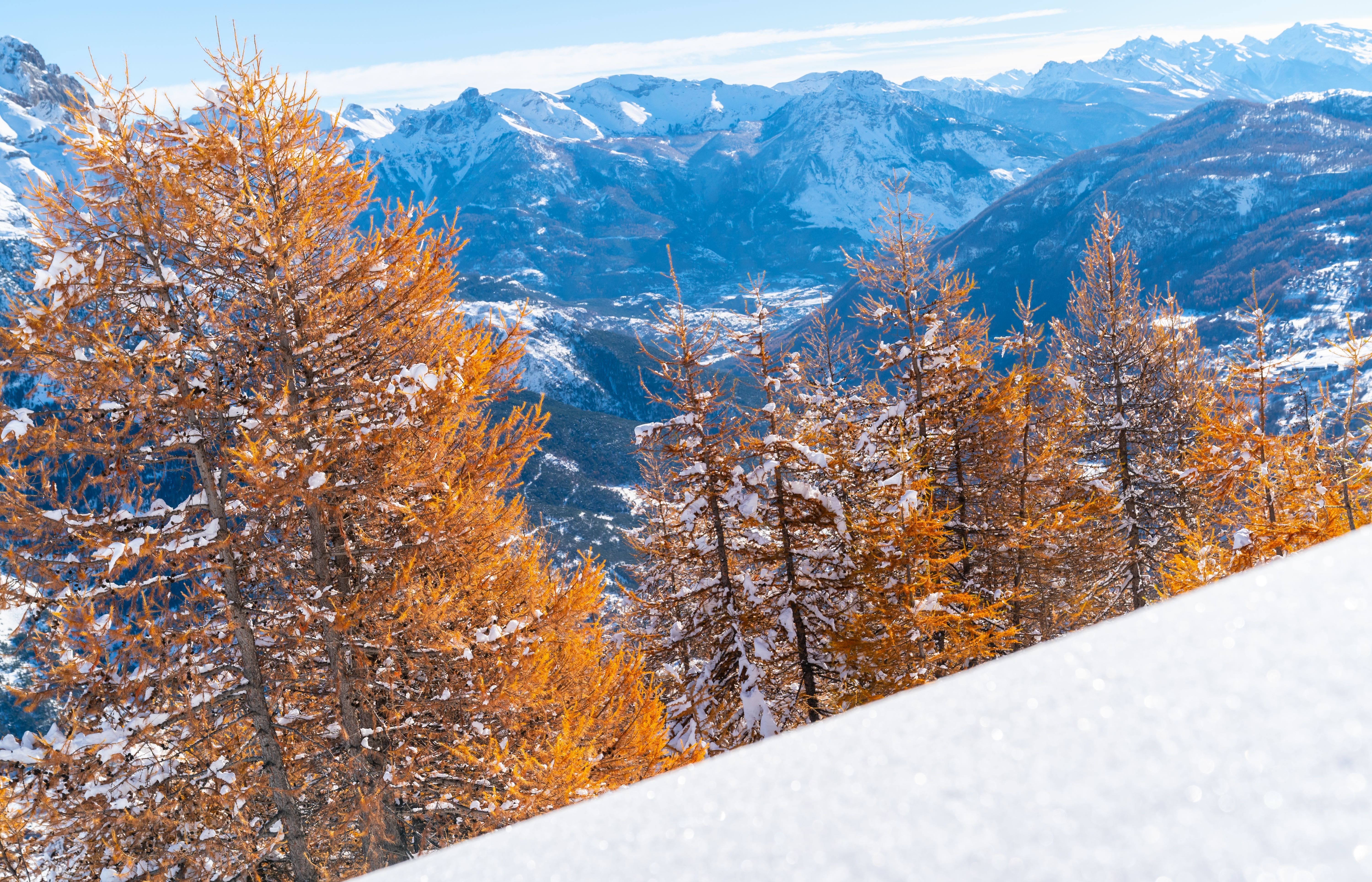 Een pak sneeuw en gekleurde lariksen bij Puy Saint Vincent