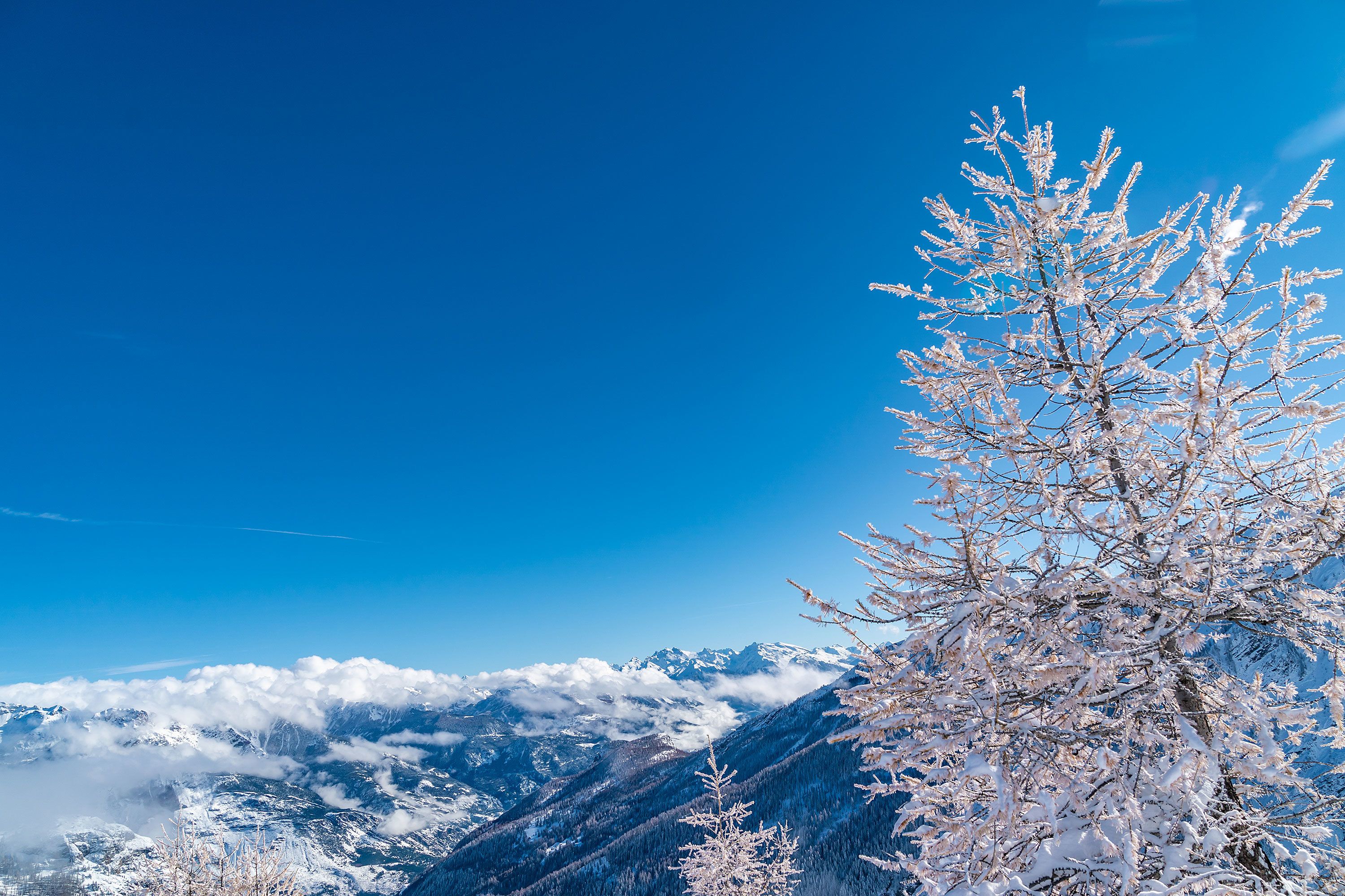 Een waar winterwonderland, Puy Saint Vincent met uitzicht op Vars en Risoul