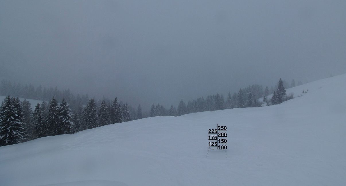 Deze sneeuwmeetlat op de Faschinajoch bij Damüls (Vorarlberg) kan volgende week weleens helemaal onder de sneeuw komen te zitten