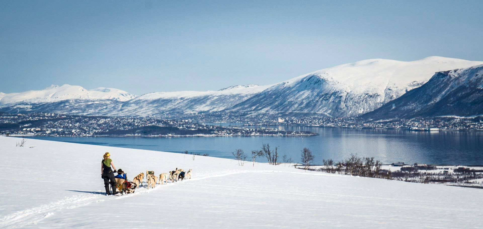 Een hondensleetocht in Tromsø is een leuke activiteit (Rowan Romeyn)