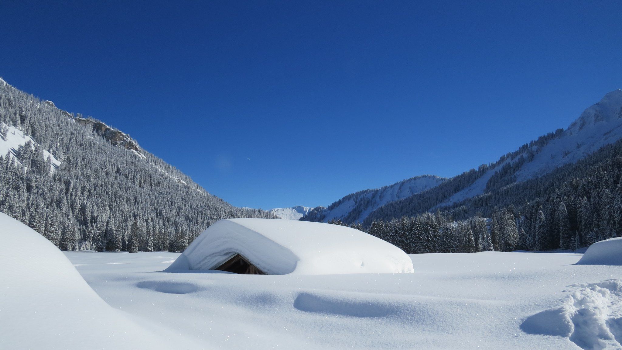 Een hut in het Kleinwalsertal verzonken in de sneeuw (foto: Haus Walser Berge)