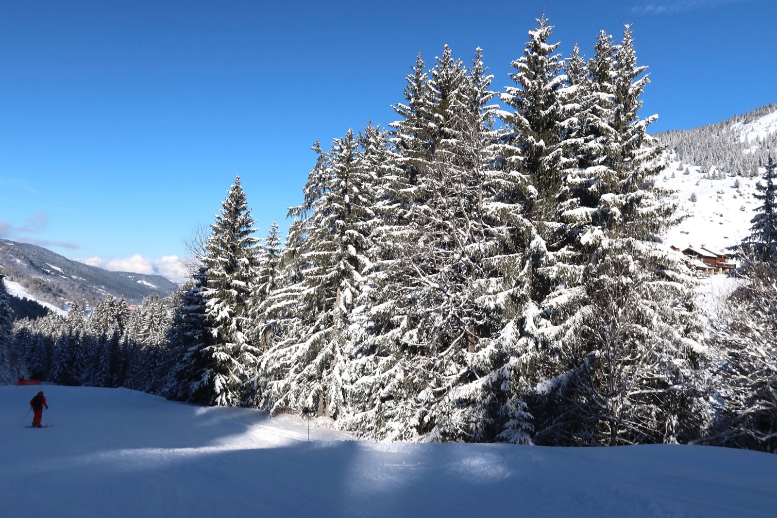 De Truite piste met veel sneeuw op de bomen